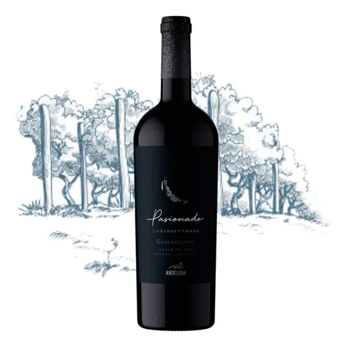 D_NQ_NP_869458-MLA89559400803_082025-O Andeluna Pasionado Cabernet Franc x 750 ml. - Imagen 1