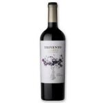Gaudeo Gualtallary 750ml